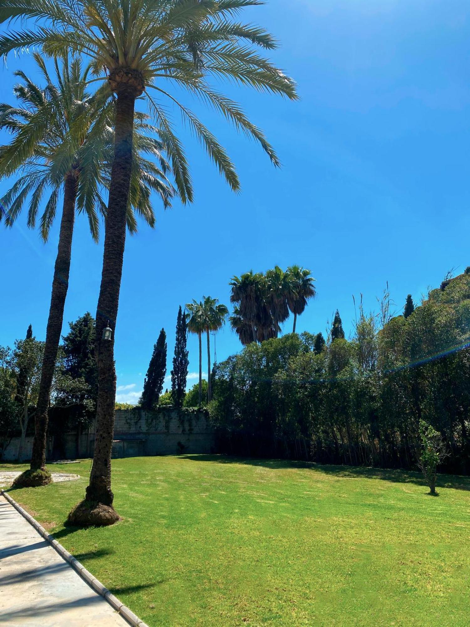 Cortijo La Saleta Banus Apartment Marbella Exterior photo